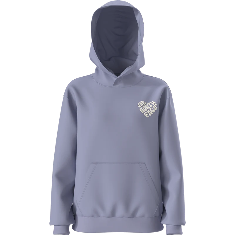 The North Face - Teen G Brand Proud Relaxed Hoodie - Gra