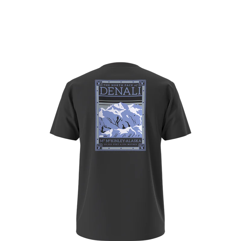 The North Face - North Faces Reg SS Tee-Graphic Caraway Seed da uomo