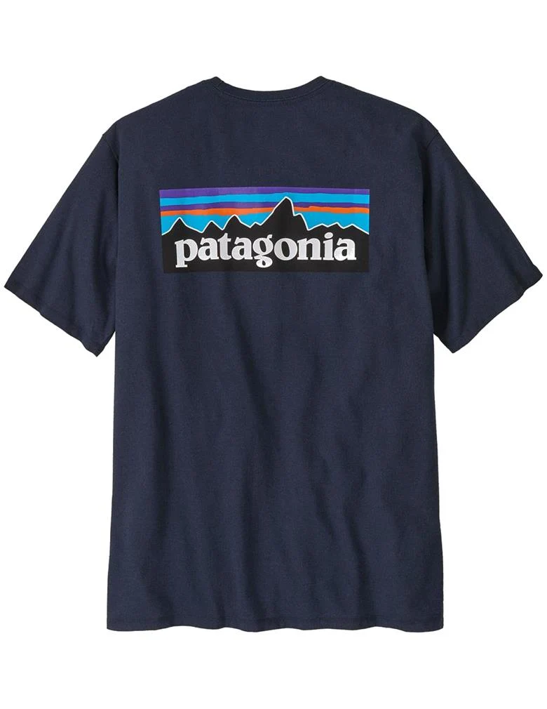 Patagonia P-6 Logo Responsibili-Tee T-shirt uomo